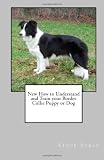 New How to Understand and Train your Border Collie Puppy or Dog