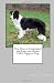 New How to Understand and Train your Border Collie Puppy or Dog
