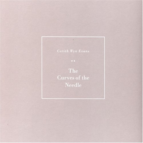 Cerith Wyn Evans: Cerith Wyn Evans (Black Pocketbook Series) (German Edition)