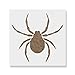 Spider Stencil Template - Reusable Stencil with Multiple Sizes Available