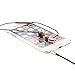 UEELR US-02 Best in ear headset metal earbuds wire bass microphone has 3.5 mm jacks. (rose gold)