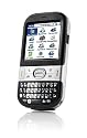 Palm Smartphone Centro
