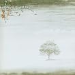 Wind and Wuthering [Hybrid SACD + DVD]
