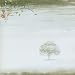 Wind and Wuthering (Remastered / Hybrid-SACD + DVD)
