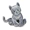 cat lover