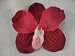 NEW Burgudy Pink Vanda Orchid Hair Flower Clip, Limited.