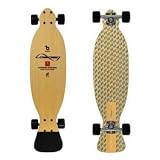 LOADED FISH FLEX 2 COMPLETE LONG BOARD - O/S - MULTI