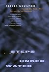 Steps under Water: A Novel