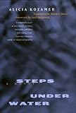 Steps under Water: A Novel