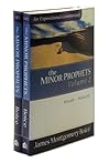 The Minor Prophets: Micah, Malachi (Expositional Commentary)