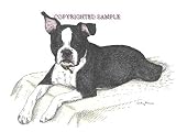 Boston Terrier Puppy - 9x12 Drawing by Cindy Farmer