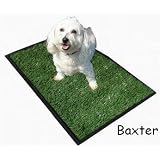New! Ingrass Puppy Potty Bigger & Deeper Now! Free Spray Bottle of Puppy Attraction Aid Spray 22" X 32" Indoor Outdoor