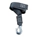 Tie Down Winch Strap, 2" x 25'
