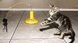 Panic Mouse 360
