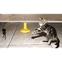 Panic Mouse 360�