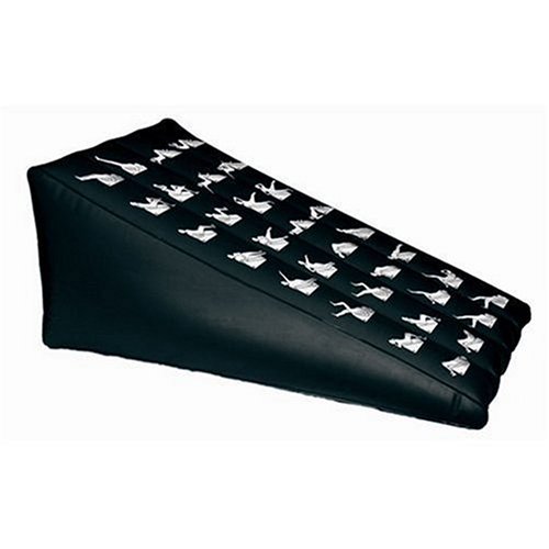 Everlast Inflatable Ab Toner with Pump