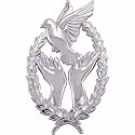14K White Gold Remembrance Lapel Pin