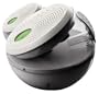 Oregon Scientific WRS368 Music Sphere Wireless Speaker with Transmitter