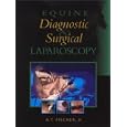 Equine Diagnostic and Surgical Laparoscopy by A. T. Fischer Jr.