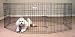 Hammered Finish Exercise Pen - 48 High