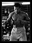 Muhammad Ali Champion Boxing Muhammed New Art Framed Poster Print - 24