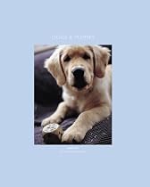 Dogs and Puppies Notecards