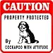 CAUTION: COCKAPOO pet dog poodle cocker sign