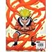 Naruto Card Game - Naruto Notebook Hologram Folder