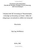 Teilanalyse �ber die Anwendung der Flammenschmelztechnologie zur Herstellung von Teufen   1000 m f�r Ablagerungen von radioaktiven Abf�llen im Untergrund