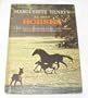 All About Horses