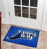 Tampa Bay Devil Rays MLB Starter" Floor Mat (20"x30")"