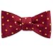 Crimson with Gold Dots Freestyle Bowtie by Principessa - Red Silk