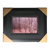 FRAMEDCOLLECTABLESIGNEDPHOTOGRAPHY-LOOKINGDOWNWITHTALLTREESINTHEMOUNTAINS