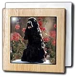Review 3dRose LLC  / English Cocker Spaniel Black - 6 Inch Tile Napkin Holder