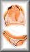 Unique y2Clothes Sexy Enchantress Peek-A-Boo Bra and G-String - White - One Size Fits Most Plain Pack