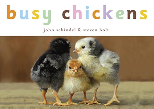 busy chickens a busy book