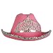 Pink Felt Tiara Cowboy or Cowgirl Hat