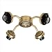 41P5uDlszTL. SL75  Westinghouse Lighting 7781500 Three Light Cluster 3 Inch Fitter Ceiling Fan Light Kit, Antique Brass Finish with Frosted Ribbed Glass Shades