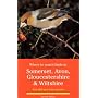 Where to Watch Birds in Somerset, Avon, Gloucestershire and Wiltshire