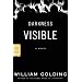 Darkness Visible