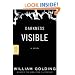 Darkness Visible: A Novel