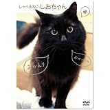 しゃべるねこ、しおちゃん [DVD]