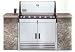 Weber Summit Silver A Brick In Gas Grill NG