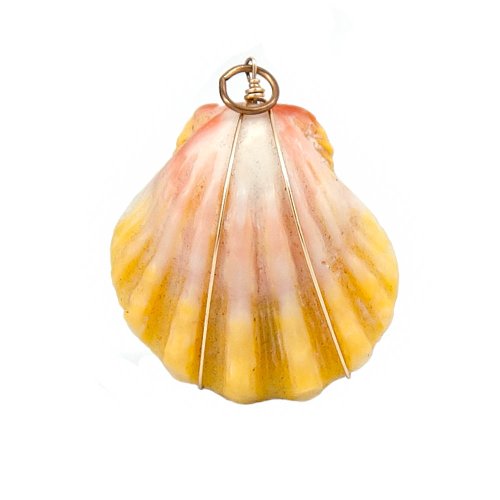 Sunrise Shell Natural Color Wire Wrapped Pendant Made in Hawaii