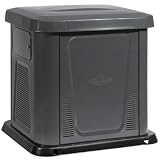 Briggs & Stratton 40326 12,000 Watt Natural Gas/Liquid Propane Powered Air Cooled Home Standby Generator