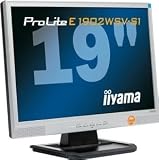 Computer : 19" TFT Iiyama ProLite E1902WSV-S1 2ms Wide silber