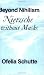 Beyond Nihilism: Nietzsche without Masks