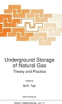 Underground Storage of Natural Gas Theory and Practice: Theory and Practice - Proceedings (NATO Science Series: E)