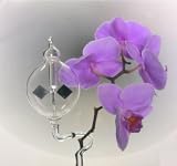 Eigenschaften Lauschaer Glaskunst  / Blumenstäbe/Orchideenstäbe mit Solar-Lichtmühle/Radiometer klar