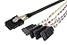 Data Storage Cables, p/n I3647-1MC: Mini SAS 36 (Host) - SATA x 4 (Target), 1M, Generic Cable [Electronics]